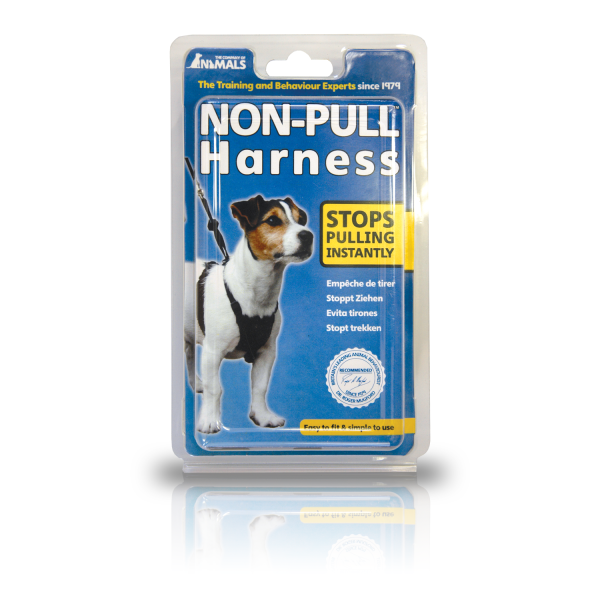 Company of animals shop no pull harness